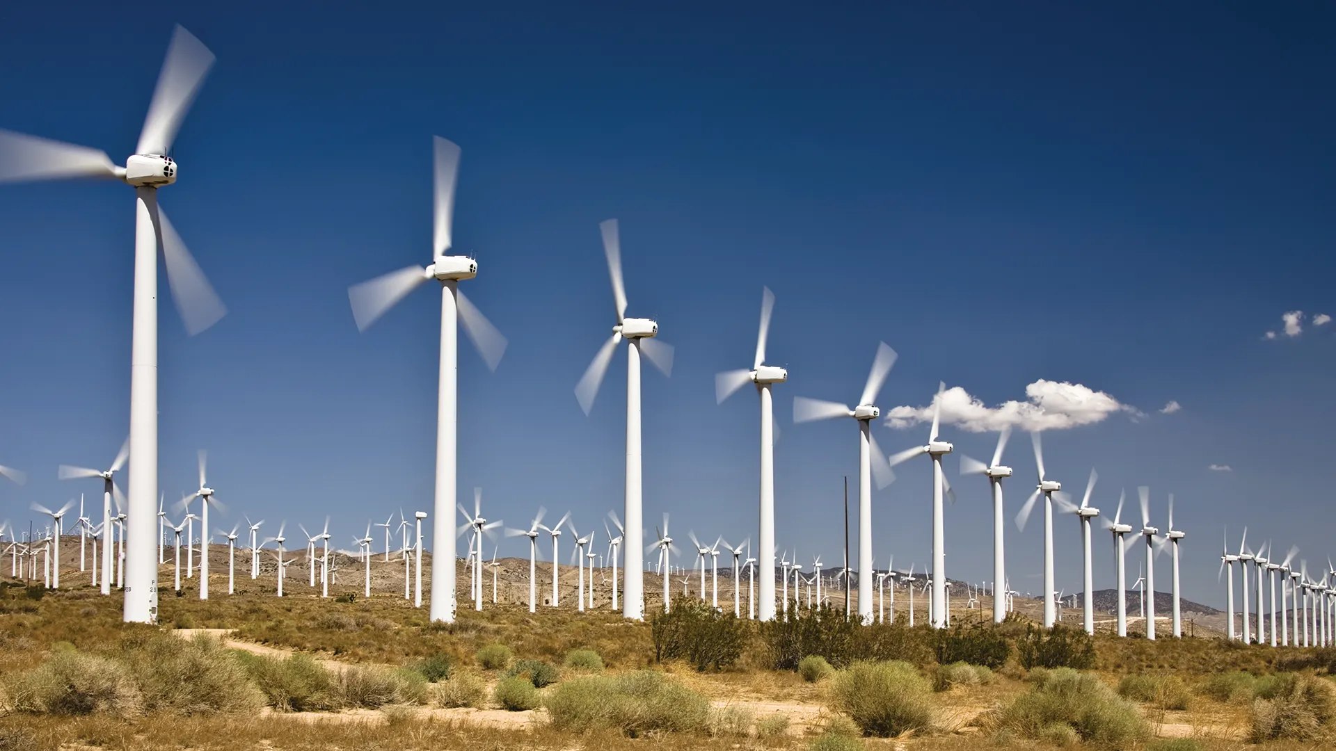 Unlocking the Potential of Wind Energy