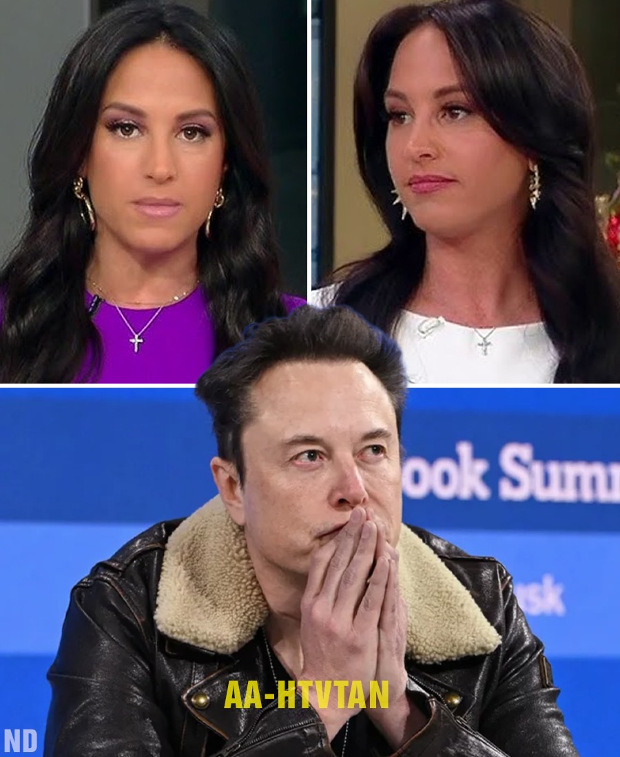 BREAKING NEWS: Elon Musk spent a huge amount of money to buy “Fox News” only to fire Emily Compagno because of her statements that affected SpaceX.